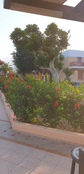 Gartenanlage Anissa Beach & Village