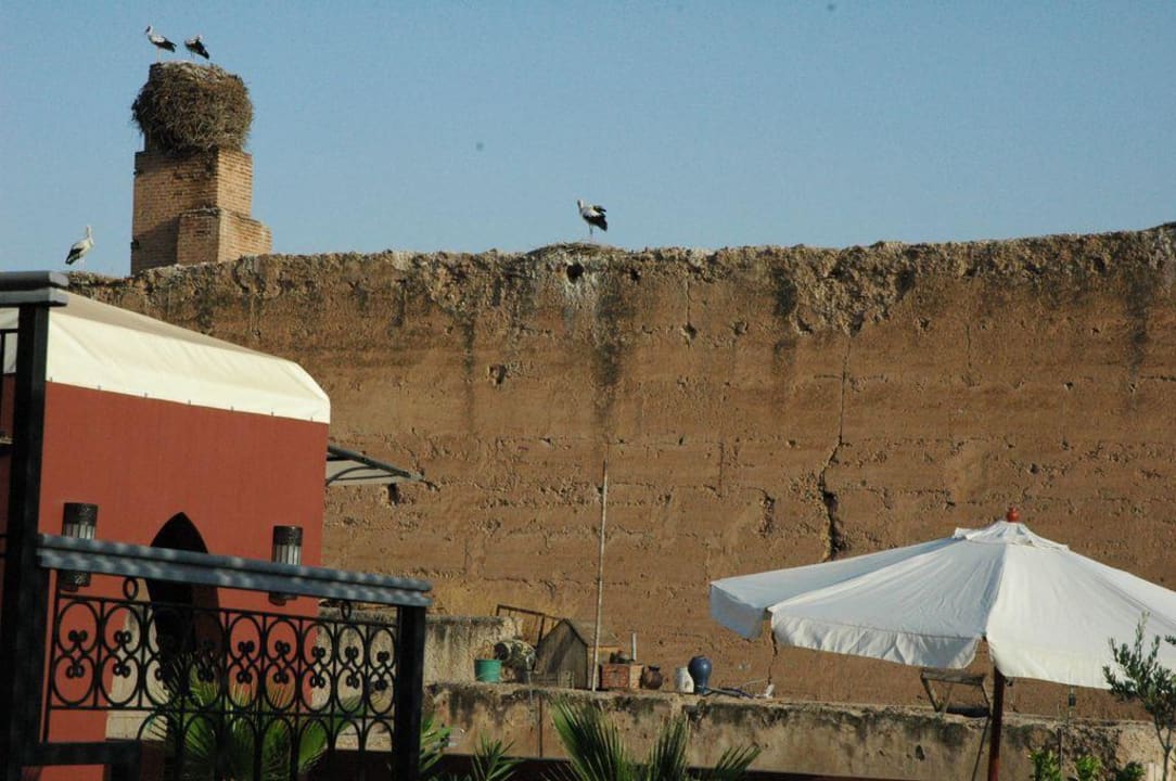 Vue de la terrasse sur le mur du palais Baddi Guest House Riad Alegria