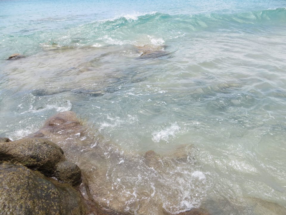 Sehr sauberes Wasser zwischen den Steinen TUI MAGIC LIFE Fuerteventura