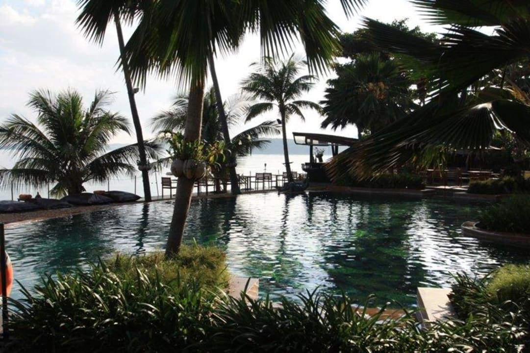 Bäume am Pool Anantara Bophut Koh Samui Resort
