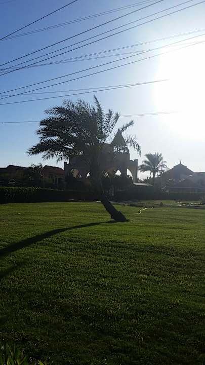 Gartenanlage Pickalbatros Jungle Aqua Park Resort - Neverland Hurghada