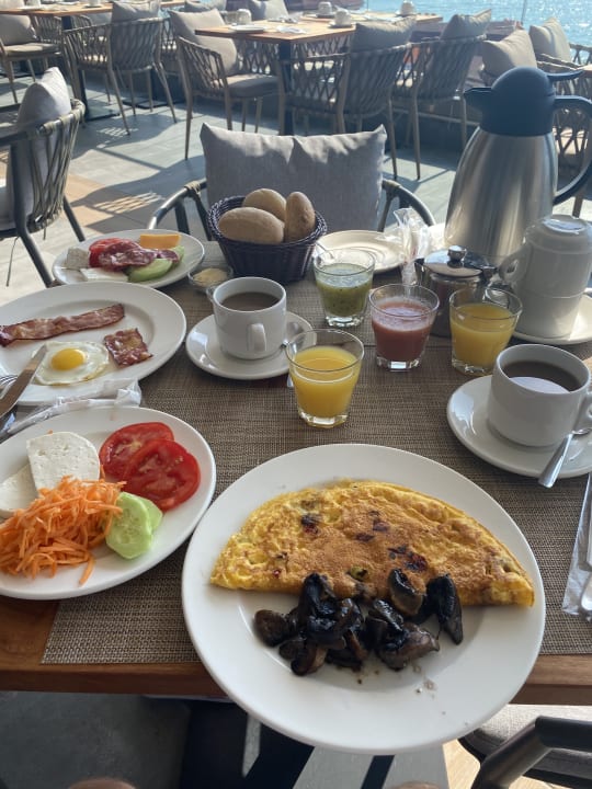 Gastro GRIFID Vistamar