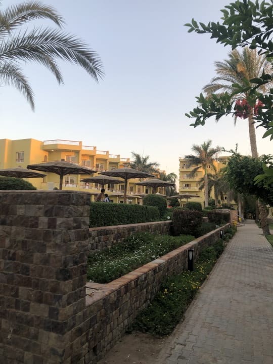 Gartenanlage Palm Beach Resort