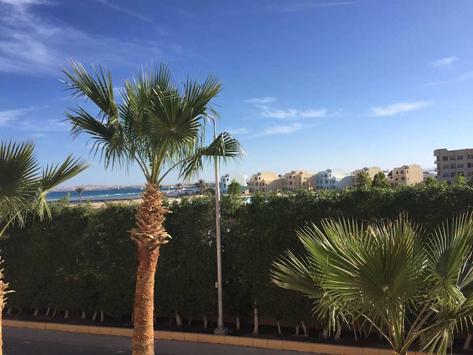 Ausblick LOW COST Zimmer Pickalbatros Palace Resort