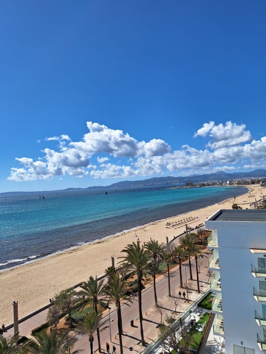 Ausblick HM Tropical