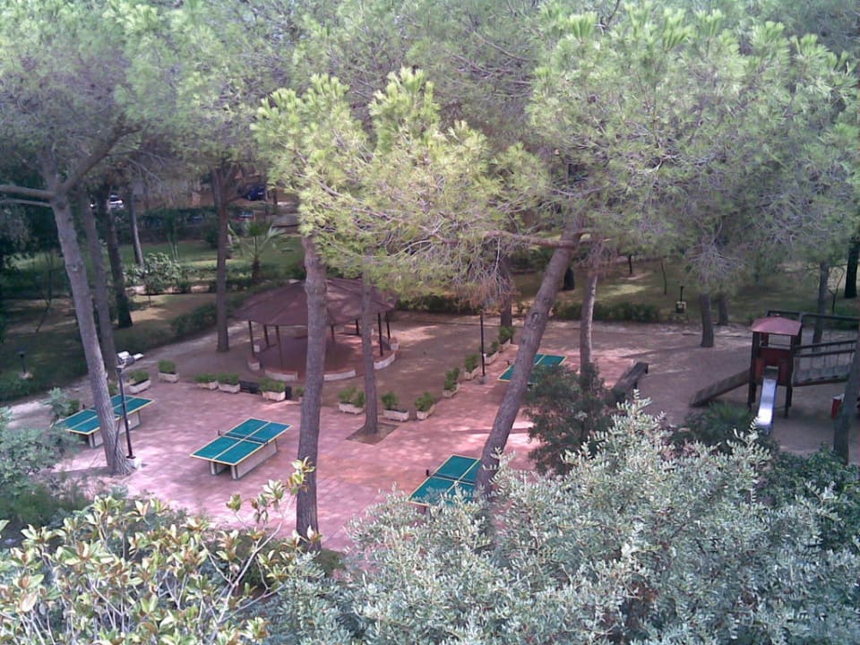 Tischtennis Tirreno Resort