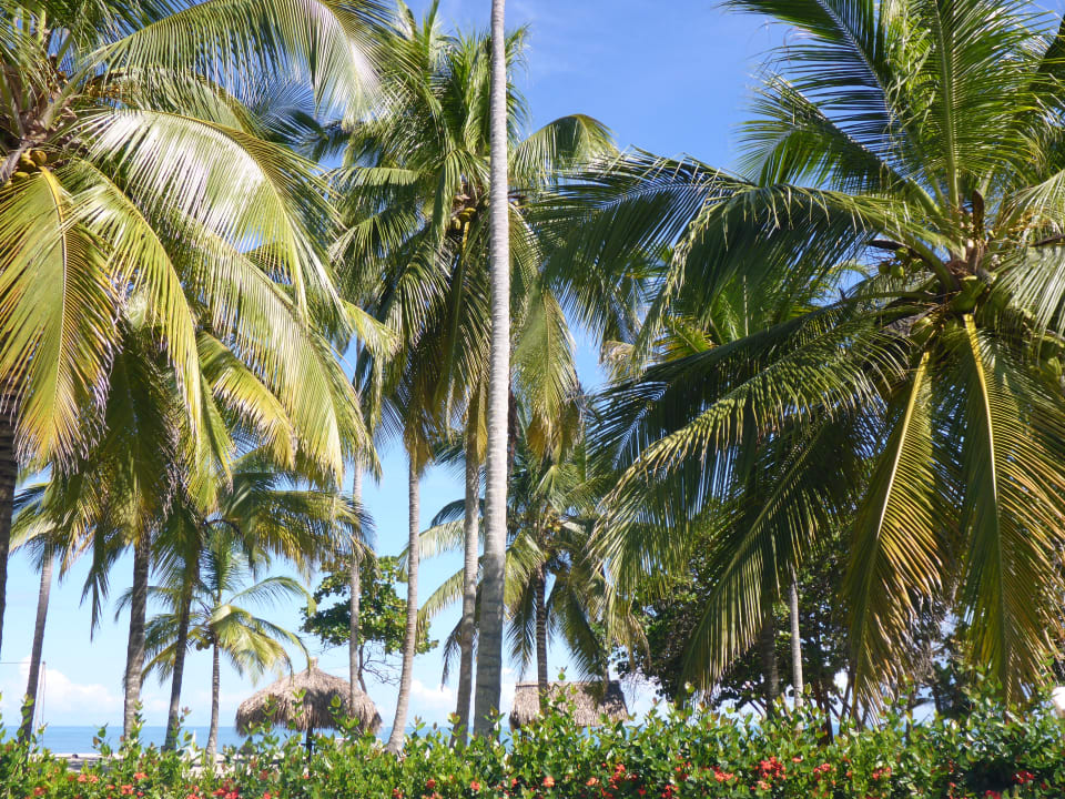 Gartenanlage Hukumeizi Hotel