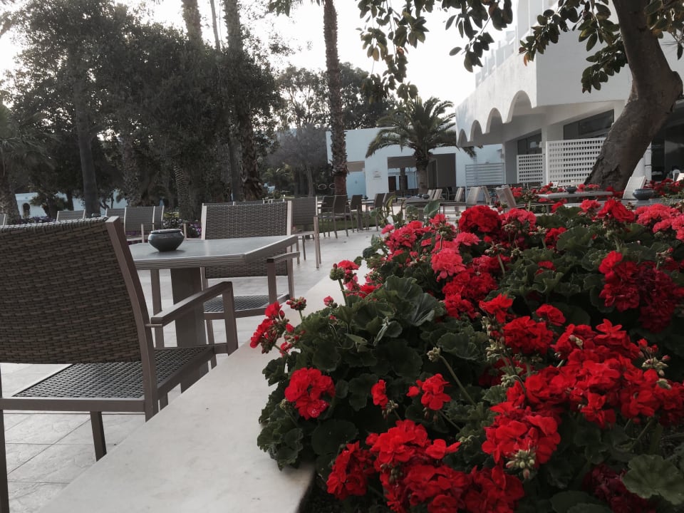 Zum Genießen Hotel Bel Azur Thalasso & Bungalows