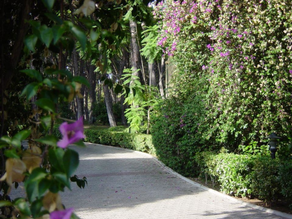 Zufahrt zum Hotel Turquoise Hotel