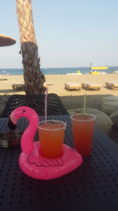 Gastro Evita Bay Hotel