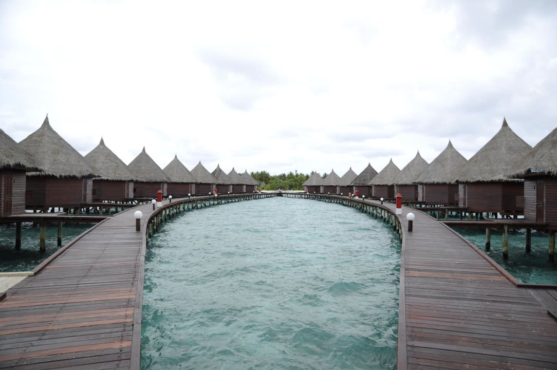 Wasserbungalow-Inselausblick Angaga Island Resort