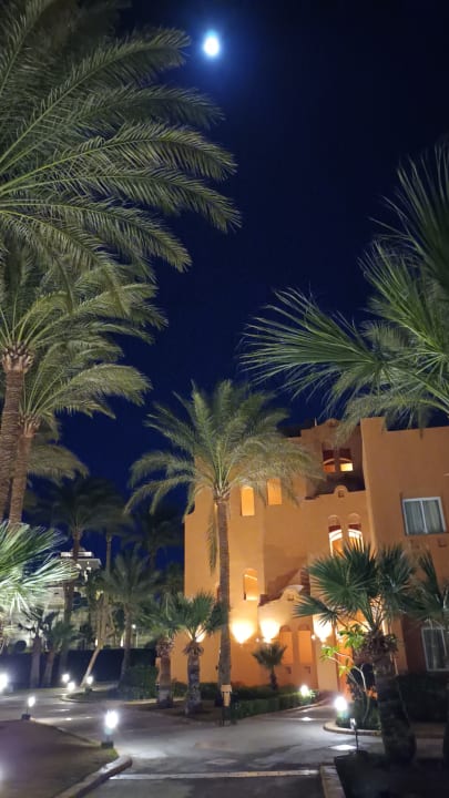 Gartenanlage Jaz Makadi Oasis Resort