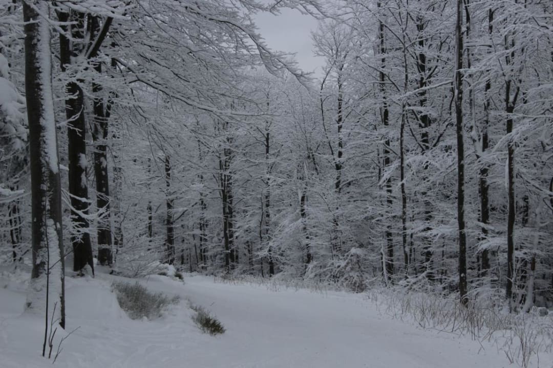 Ausblick Gästehaus Haibach