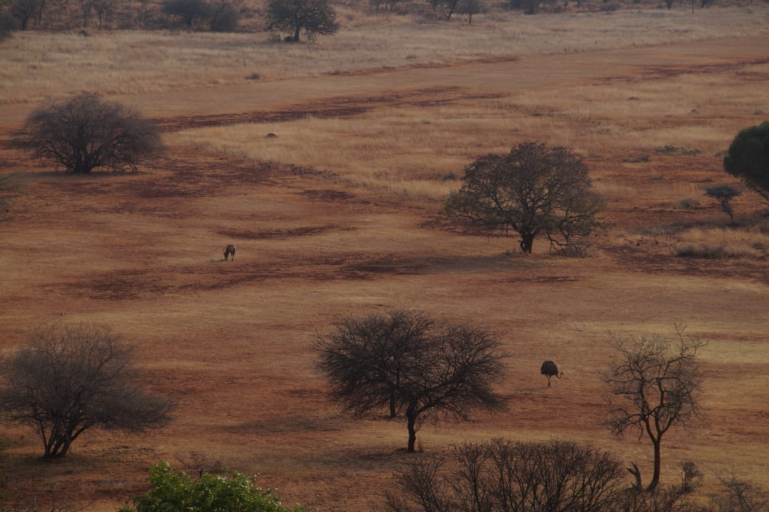 Ausblick Hannah Game Lodge