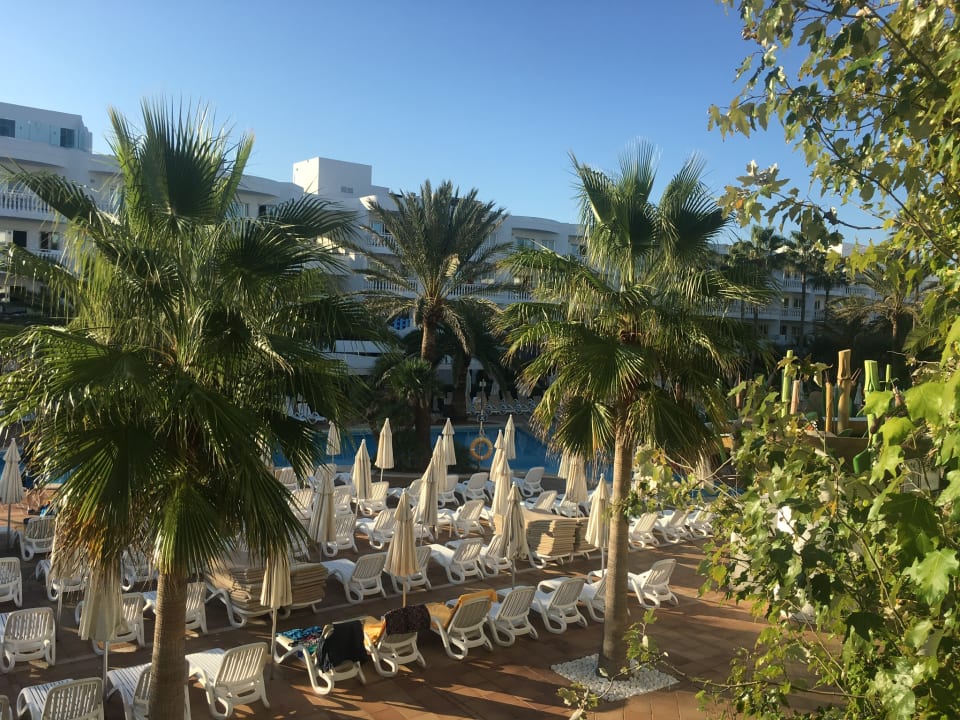 Gartenanlage Iberostar Selection Albufera Park