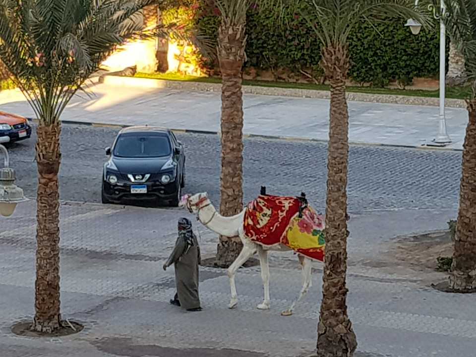 Ausblick Steigenberger Aqua Magic