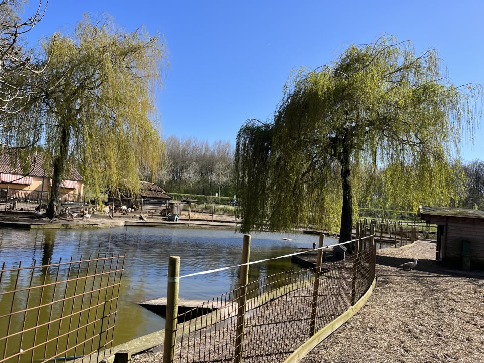 Sport & Freizeit Oostappen Vakantiepark Marina Beach