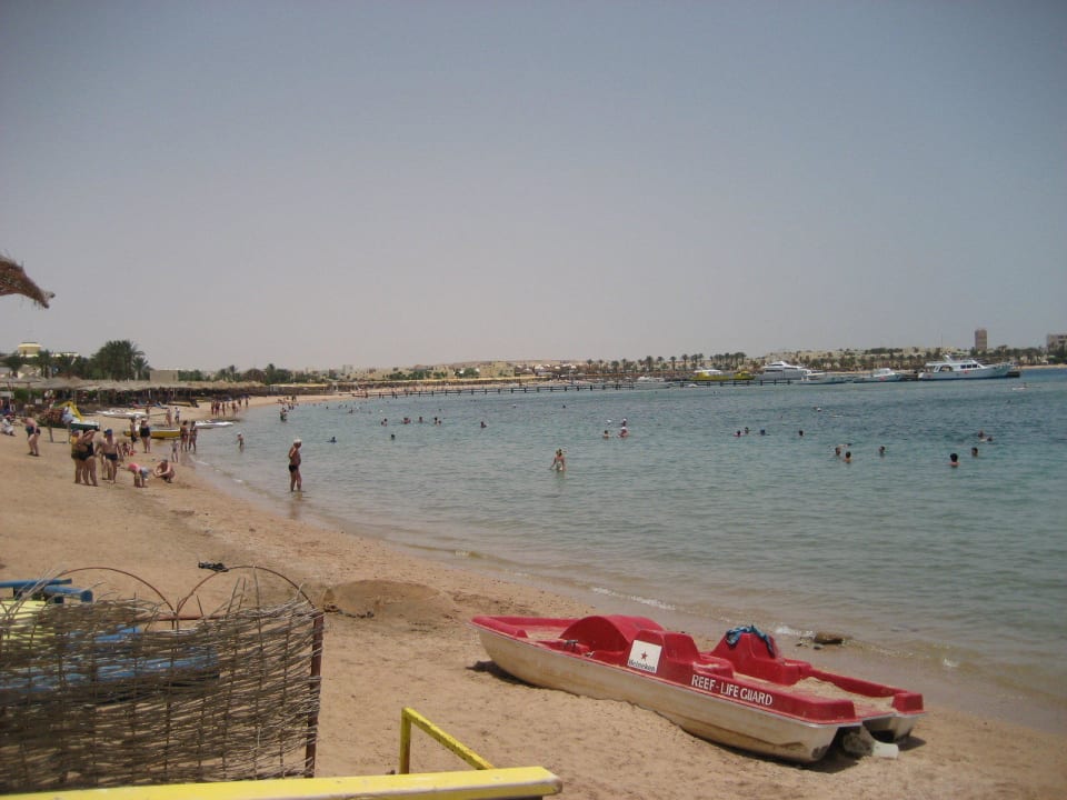 Blick auf den Strand JAZ Neo Saraya Palms