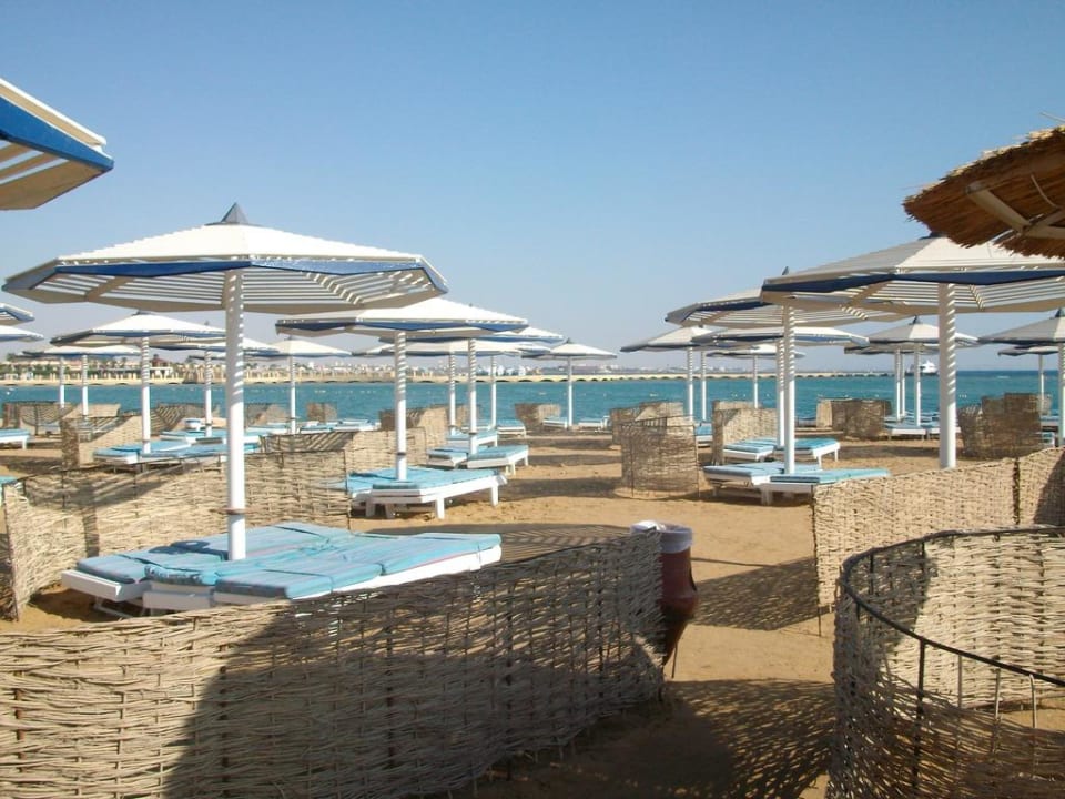 Immer freie Liegen Pickalbatros Dana Beach Resort - Hurghada