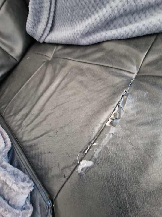 Zimmer Beach Villa's Hoek van Holland