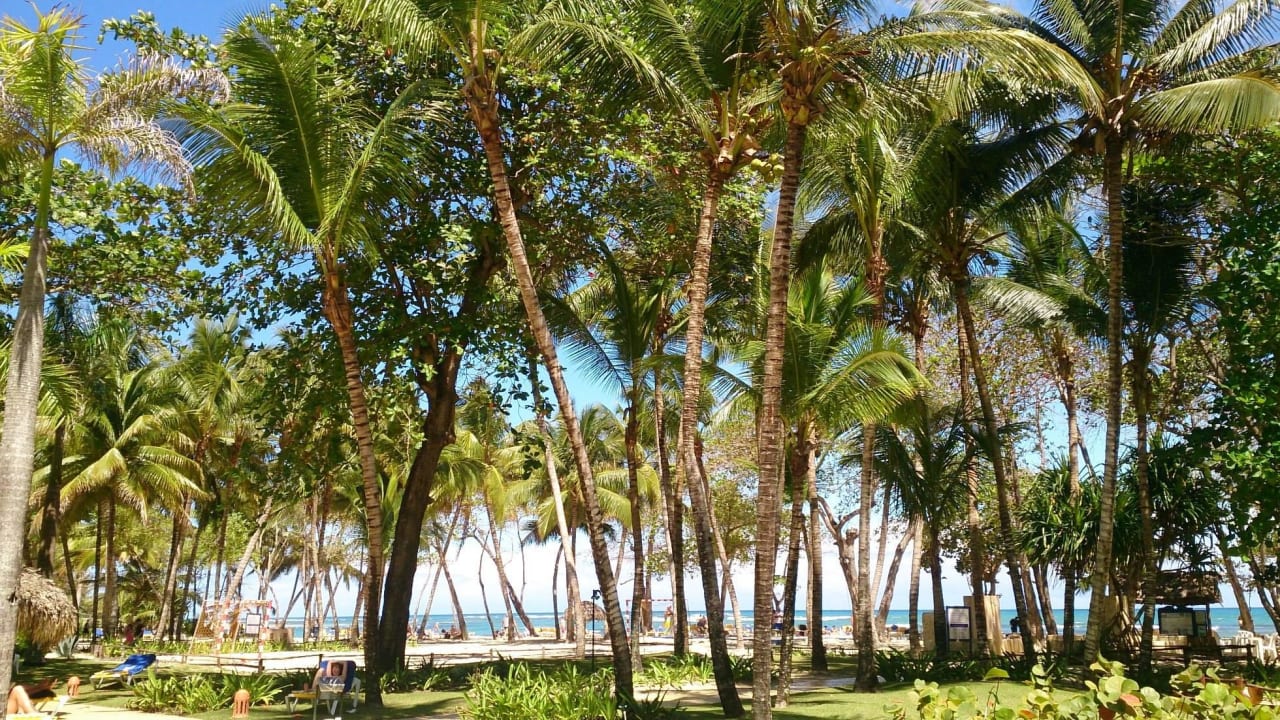 Blick von der Beach-Bar Richtung Strand Iberostar Waves Costa Dorada