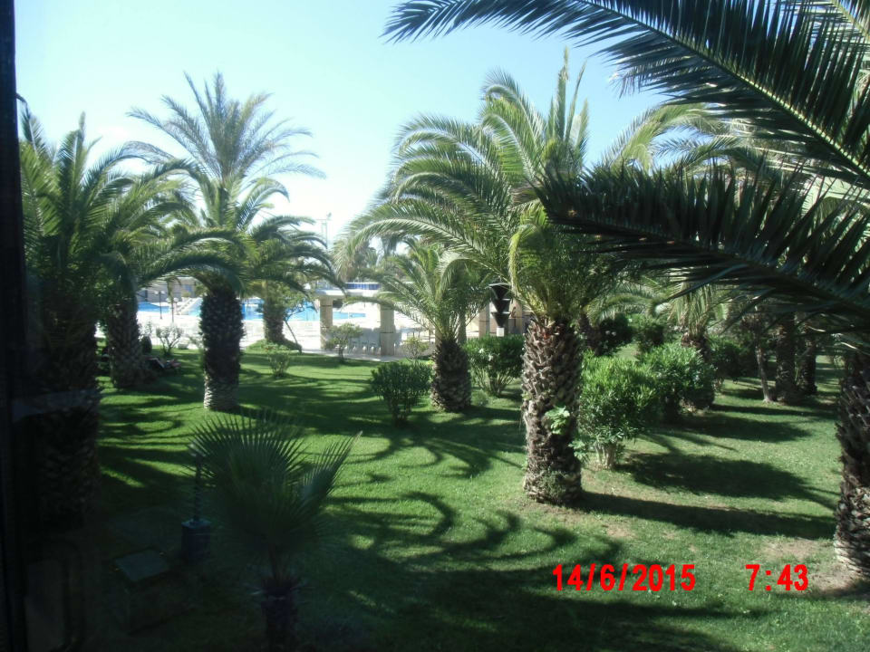 Gepflegte Gartenanlage Süral Saray Hotel