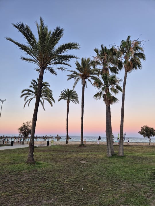 Ausblick allsun Hotel Bahia del Este