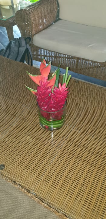 Sonstiges Akumal Bay Beach & Wellness Resort