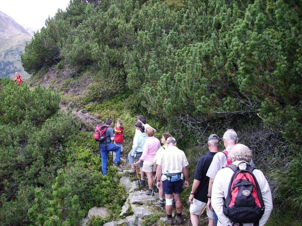 Wanderung zur "Grawa Nock Alm" Hotel Augarten