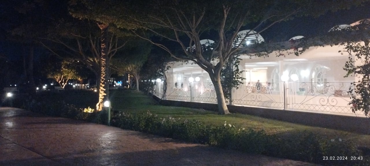 Außenansicht Desert Rose