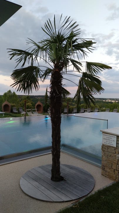 Gartenanlage Hotel & Spa Larimar