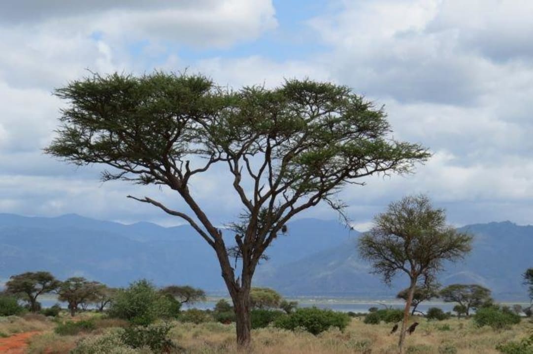 Lake Jipe Lodge Lake Jipe Safari Camp