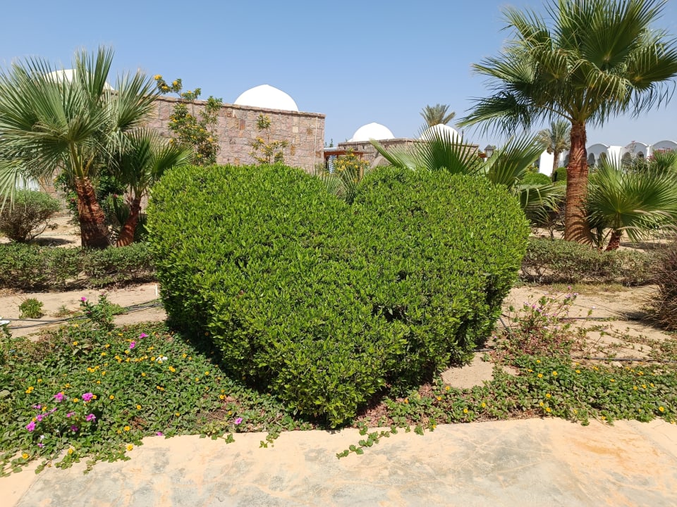 Außenansicht Hotel Gorgonia Beach Resort