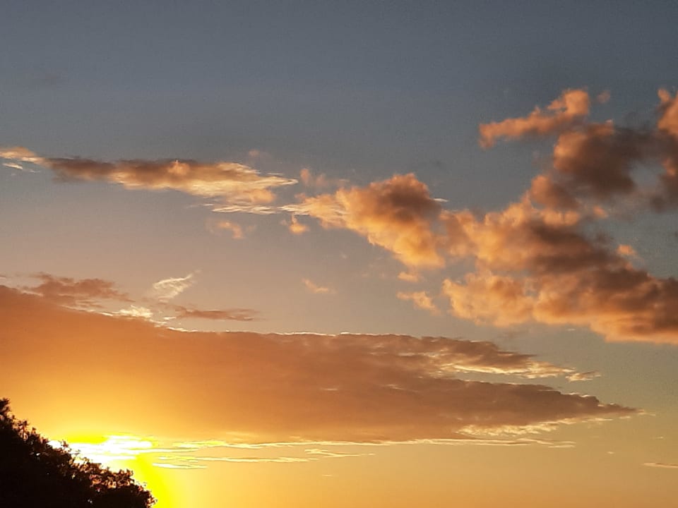 Ausblick Bellamar Hotel Beach & Spa