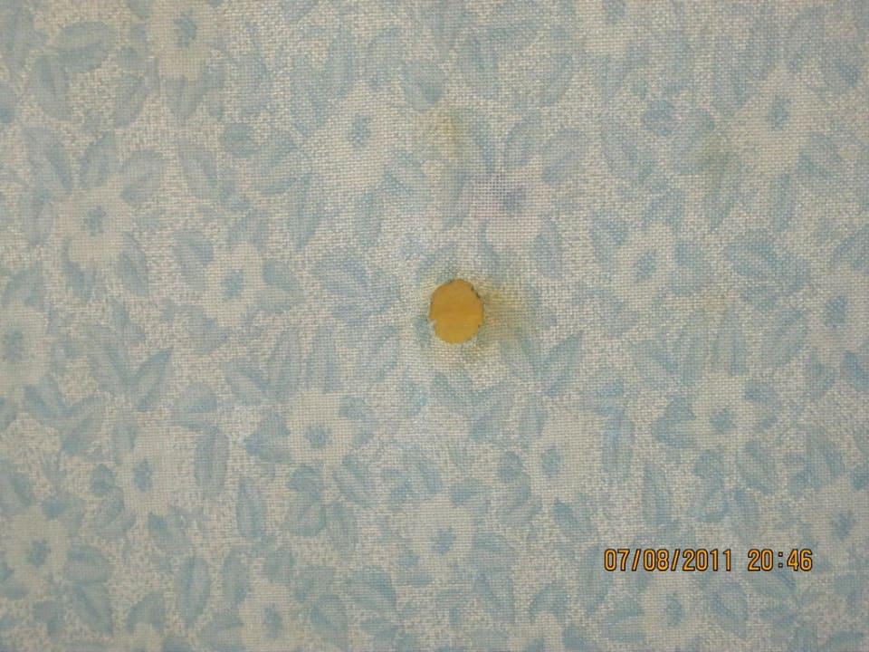 Matratze FLOR los Almendros Hotel