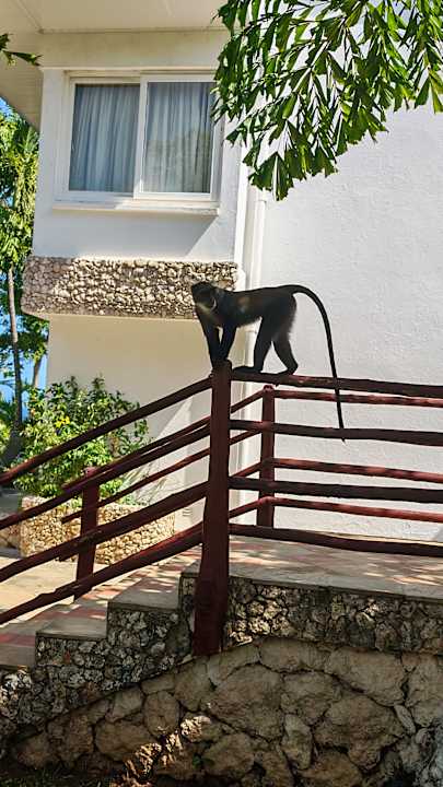 Gartenanlage Leopard Beach Resort & Spa