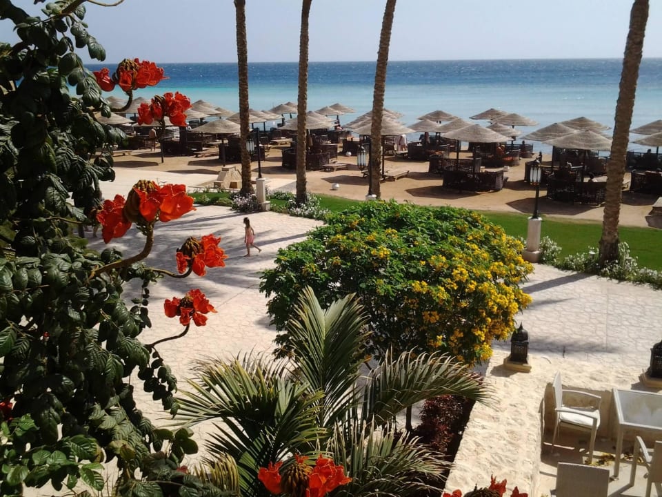 Vom Hotelpool zum Meer Makadi Spa - Adults only