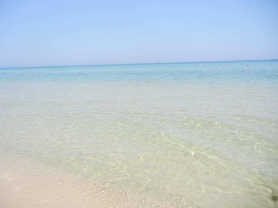 Meer bei ruhiger Lage Riadh Palms Resort & Spa