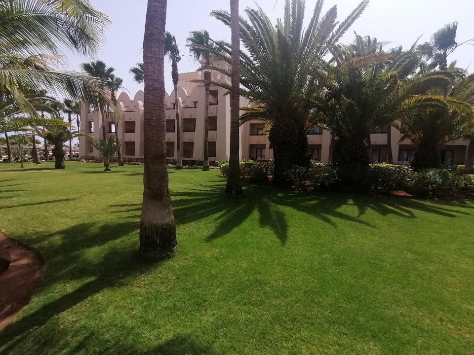 Gartenanlage Hotel Riu Touareg
