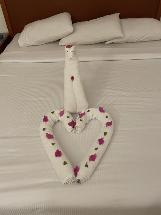 Zimmer Aladdin Beach Resort