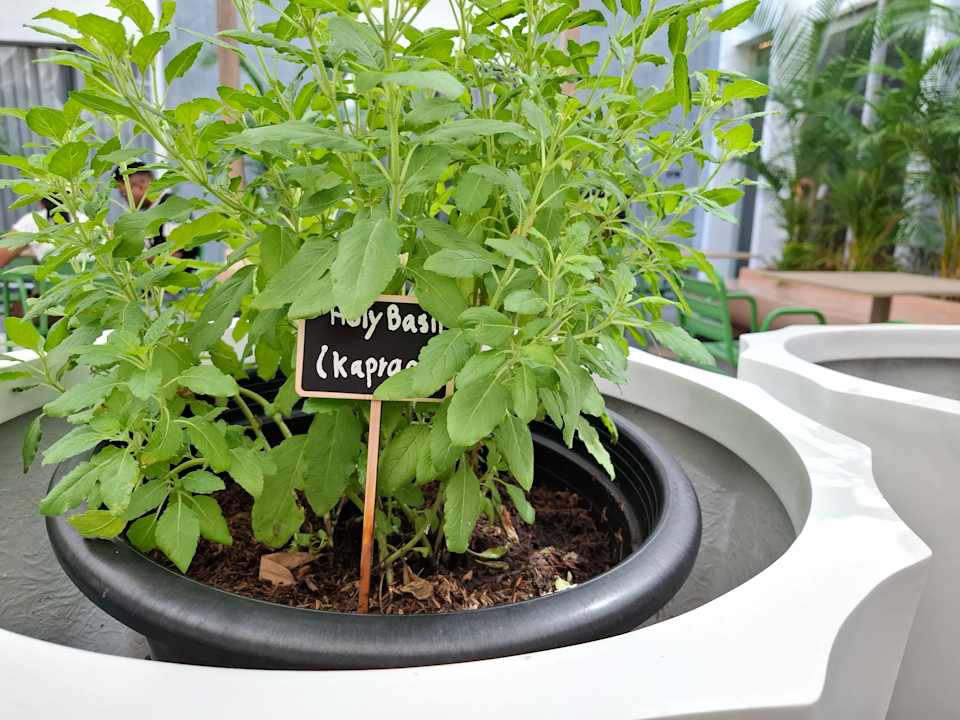 Gastro ASAI Bangkok Chinatown