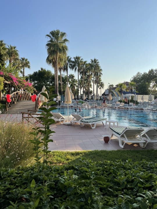 Pool Trendy Palm Beach (Adults Only, 16+)