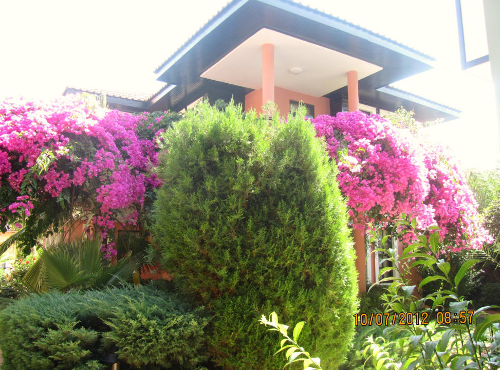 Bungalow Club Dizalya