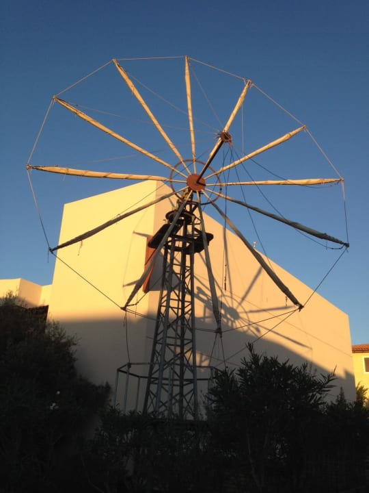 Gartenanlage Cactus Royal