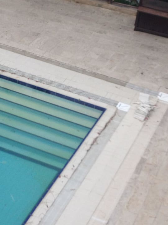 Kinderpool Ladonia Hotels Adakule