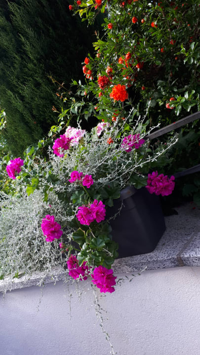 Garten Garni Taubenthaler