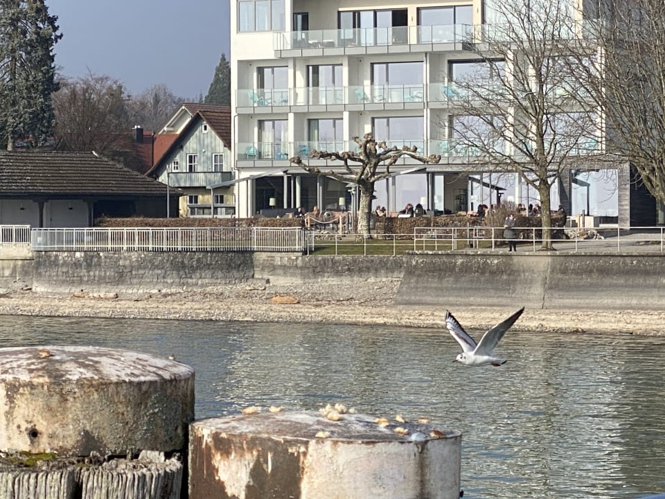 Außenansicht Seehotel Kressbronn