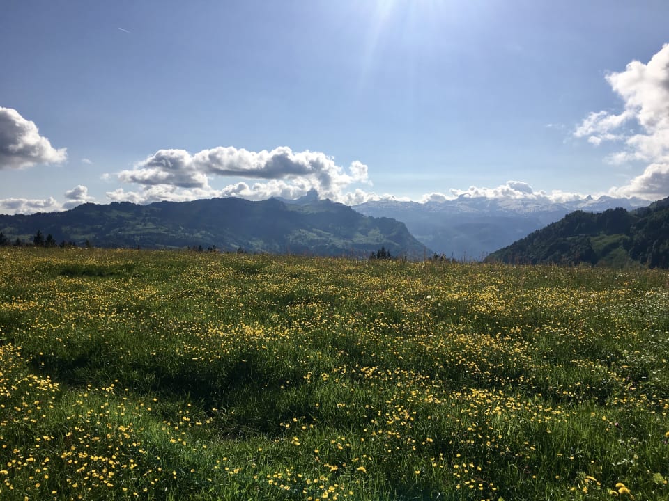 Ausblick Wellness Hotel Stoos
