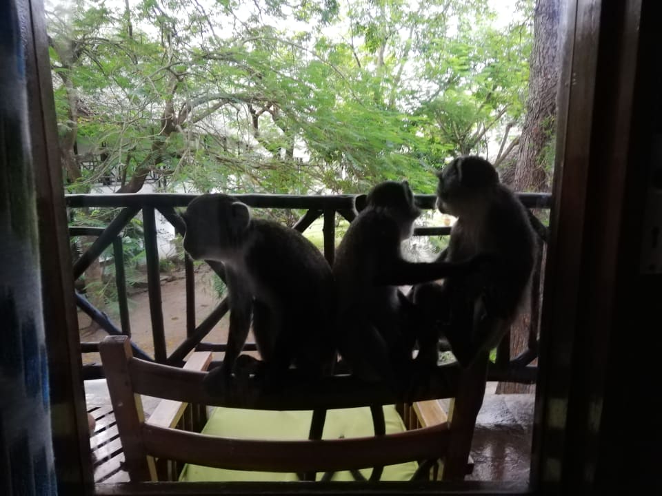 Sonstiges Hotel Papillon Lagoon Reef