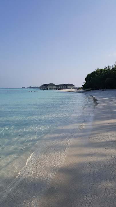 Strand Summer Island Maldives